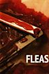 Fleas