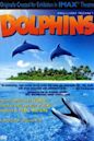 Dolphins (2000 film)