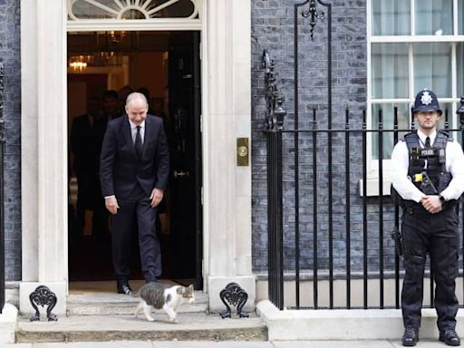 Larry the cat training yet another prime minister in Downing Street