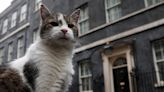Larry the Cat ‘says’ he is ‘in charge’ of 10 Downing Street as Keir Starmer yet to take oath as UK PM