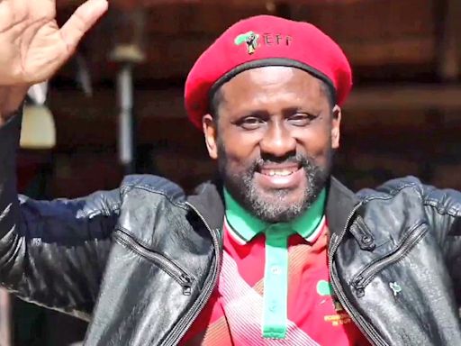 EFF's Ringo Madlingozi quits politics!