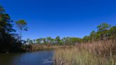 Sewage overflows a major issue. Baldwin County residents want it fixed