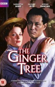 The Ginger Tree