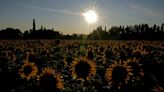 Spain heats up under 1st heatwave of the year as Southern Europe swelters