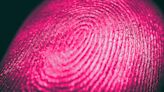 AI Study Claims Human Fingerprints Aren't Actually Unique