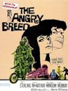 The Angry Breed