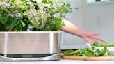Save on veggies by growing them yourself with this discounted AeroGarden Bounty Elite | CNN Underscored