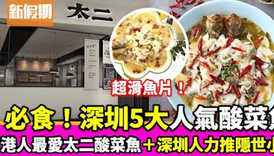 深圳酸菜魚｜5大人氣酸菜魚推介：港人最愛 太二老壇子酸菜魚 | 旅遊 | 新假期