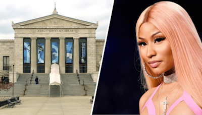 Nicki Minaj has hilarious, relatable mom moment while visiting Shedd Aquarium with her son