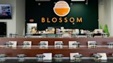 Minority- and women-owned Blossom Dispensary opens in Jersey City (photos)