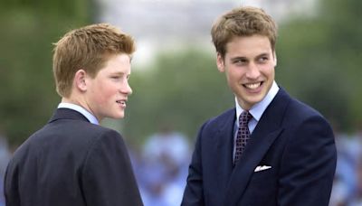 Ruptura de William e Harry aconteceu muito antes de Meghan e irmãos não se falam direito há 20 anos, revela biógrafo da Família Real