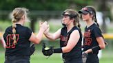 See the nine Greater Lansing high school softball players who were named all-state