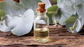 How Eucalyptus Oil Can Clear Your Cold, Reduce Pain, and Keep Bugs Away