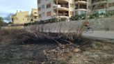 El incendio del Saladar de Xàbia se quedó a nada de las fincas de apartamentos (imágenes)