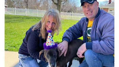 After 11 Years In Alabama Shelter, "Shy" 13-Year-Old Dog Finally Finds Forever Home