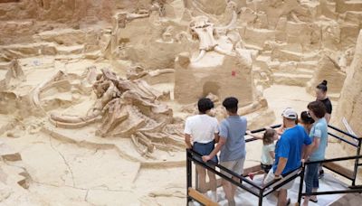 A sinkhole in South Dakota is packed with mammoth fossils that experts have been digging up for half a century. Take a look.