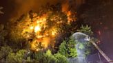 Hundreds of firefighters battle blazes in Germany, Czech Republic