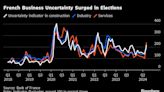 French Business Uncertainty Surged During Turbulent Election
