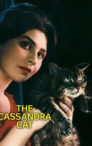 The Cassandra Cat