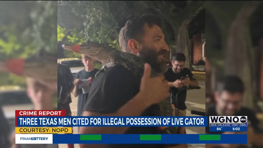 Texas men cited for allegedly possessing alligator near French Quarter