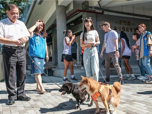 新竹縣認養浪浪最高補助3000 醫療、健檢都可申請 - 生活