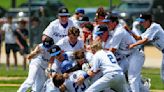 Local & area roundup: East Dubuque beats Galena for regional baseball title