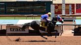 A guide to horse racing meet at Ruidoso Downs Race Track and Casino