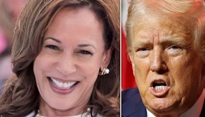 Kamala Harris' Campaign Strikes Rawest Of Nerves For Donald Trump In Mocking New Ad