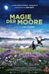 Magie der Moore