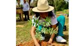 Laura Estrada, candidata al Senado, llama a pintar Oaxaca de verde