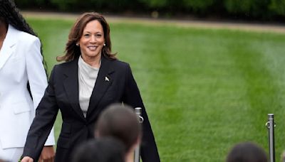 Fortalezas y debilidades de Kamala Harris como posible candidata presidencial demócrata