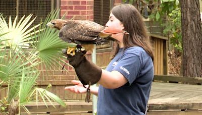 One-Tank Trip: Visit Wildlife Education Center on Georgia Southern campus