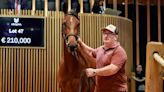 'She has a great pedigree and physique, while I loved her breeze' - €210,000 Too Darn Hot filly stands out at Arqana