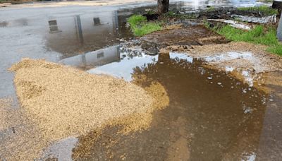 Untimely rains continue to trouble Rabi farmers