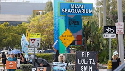 Miami-Dade officially serves eviction notice on Miami Seaquarium's owner