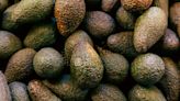 Avocados Plummet to Some of the Lowest Prices in 5 Years