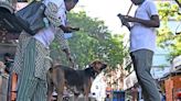 Dog population management survey begins in Chennai