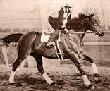 Seabiscuit