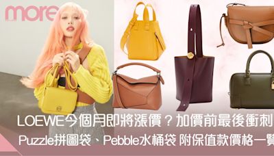 LOEWE傳4月加價 全球調整價格前必買5大保值經典手袋 推介！