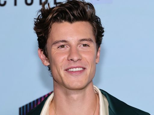 Shawn Mendes Sets Pulses Racing With Steamy Shower Shots