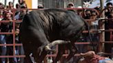En el este de México, la tradición de soltar y golpear a toros continúa pese a leyes antimaltrato