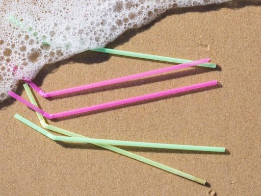 MAGA Rages That Kamala Harris Is A Threat To Plastic Straws