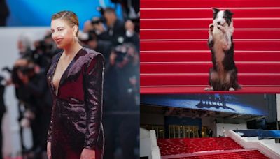 Cannes 2024: How It Works, Who Attends, From Standing Ovations to The Juries