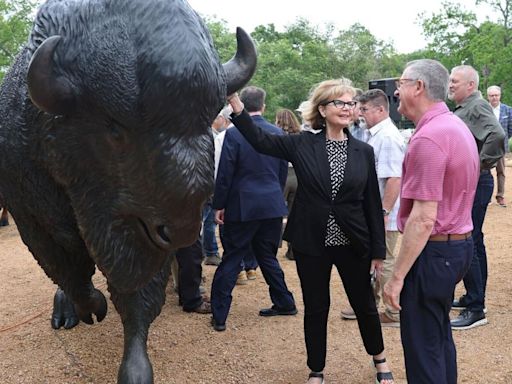 NatureWorks starts ambitious bison installation in LaFortune Park