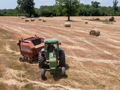 Discrimination relief payments begin as some Black farmers ask courts to include heirs in program