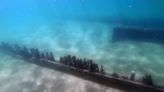 Great Lakes cargo ship that wrecked off Baileys Harbor - twice - is now a historic place