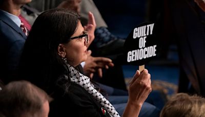 GOP lawmaker says Tlaib should be ‘run out of town’ over ‘genocide’ sign