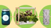 The 9 Best Indoor Herb Gardens for Growing Fresh Ingredients Year Round