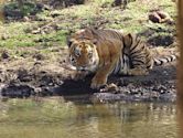 Mudumalai National Park