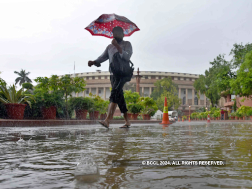 WATCH: Delhi Parliament seen leaking after the national capital receives over 100 mm of rainfall in 24 hours | Business Insider India
